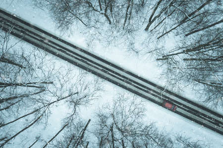 Road through winter forest
