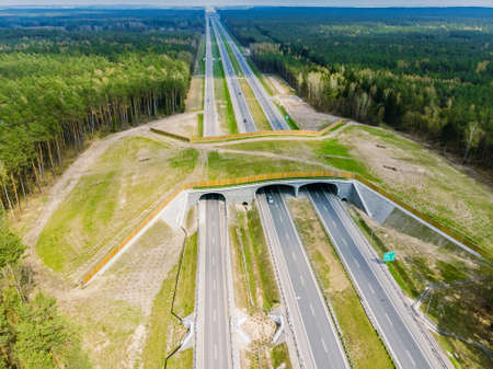 Expressway with ecoduct crossing - bridge over a motorway that allows wildlife to safely cross over the road, aerial top down viewの写真素材