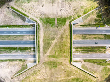 Expressway with ecoduct crossing - bridge over a motorway that allows wildlife to safely cross over the road, aerial top down viewの写真素材