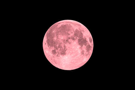 Pink full super moon on black sky backgroundの写真素材