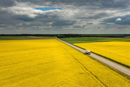 Truck on a road, aerial landscape of a road amongst fields of yellow colza under moody cloudy skyの写真素材