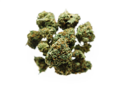 Cannabis flos, medical marijuana pileの写真素材