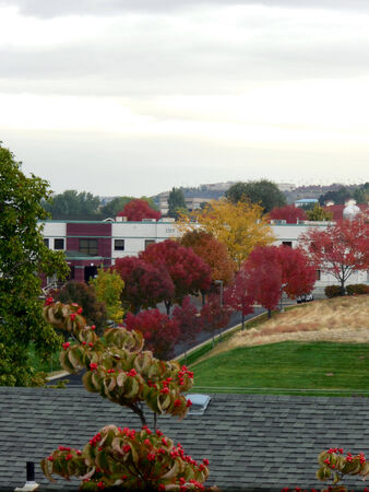 LEWISTON / IDAHO STATE/ USA- Rainy day in valley          07 OCTOBER 2014のeditorial素材