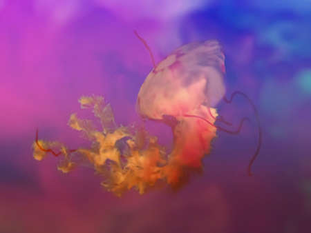 splash watercolor for background or wallpaper on a sea themeの写真素材