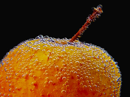 - apple with water drops on a black background, close-upの写真素材