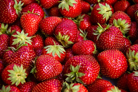- harvest in autumn with red garden strawberriesの写真素材