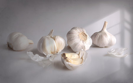 - still life, white garlic on a white background dの写真素材
