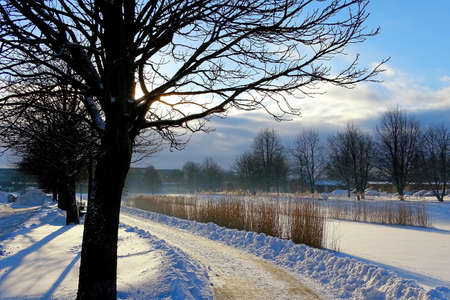 winter natureの写真素材