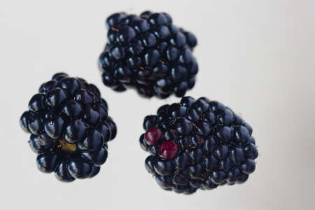 blackberries on a white background close upの写真素材