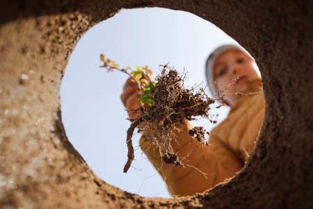 Young boy plants a seedling - view from below