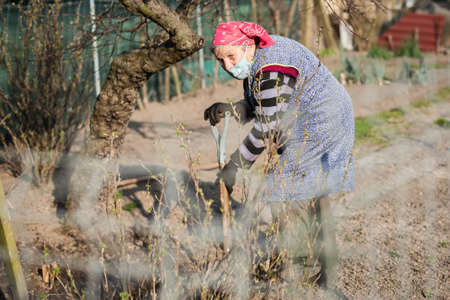 TYMOWA, POLAND - MARCH 28, 2020. Old woman digs the ground in the garden with mask on her fice due...