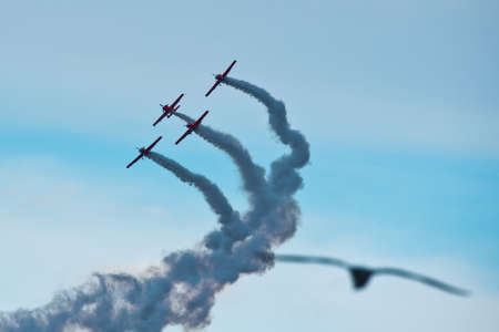 Airshow with a birdの写真素材