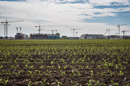 WROCLAW, POLAND - MAY 22, 2020. View of the construction of a new housing estate on the periphery of Wroclaw.のeditorial素材