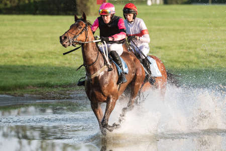 WROCLAW, POLAND - SEPTEMBER 13; 2020: International Horse Racing with fences for four years and older horses at Racecourse WTWK Partynice. Jockey P. Slozil on horse One Way Ticket.のeditorial素材