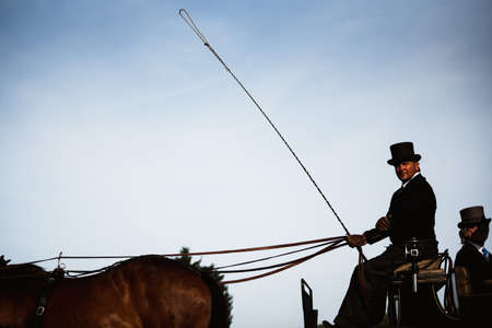 WROCLAW, POLAND - SEPTEMBER 13; 2020: A coachman in a carriage during the official opening of a horse race Greate Wroclawskaのeditorial素材