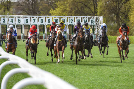 WROCLAW, POLAND - APRIL 15; 2018: Race for three years old horses III group at Racecourse WTWK...