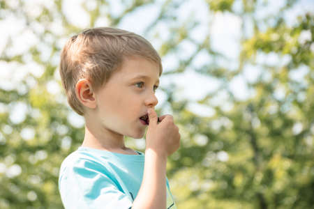 5-6 years old boy eating cherries, orchardの写真素材