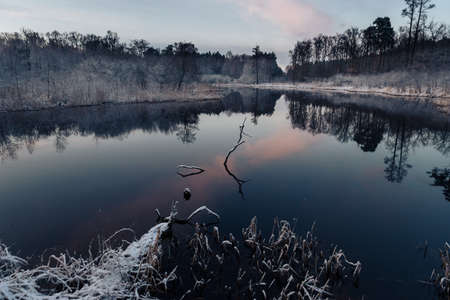 Winter landscape with a pond.の写真素材
