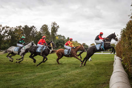 WROCLAW, POLAND - OCTOBER 16; 2021: Steeplechase race at Racecourse WTWK Partynice. Leads Jockey J. Faltejsek on horse Milsueldos.のeditorial素材