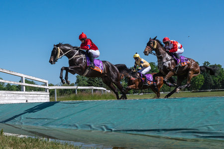 WROCLAW, POLAND - JUNE 4; 2023: Racecourse WTWK Partynice. International race with obstacles for...