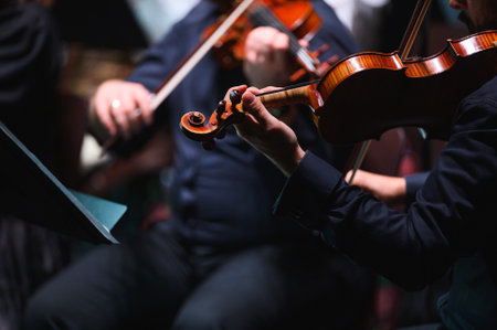 detail of a violin during an orchestra concertの写真素材