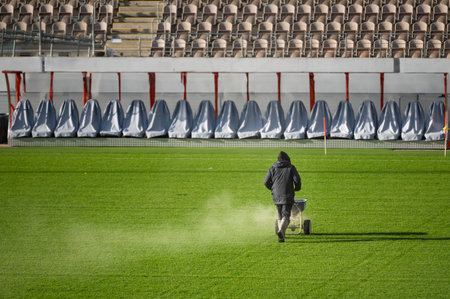 Groundsman spreads fertilizer for grass on a football pitch