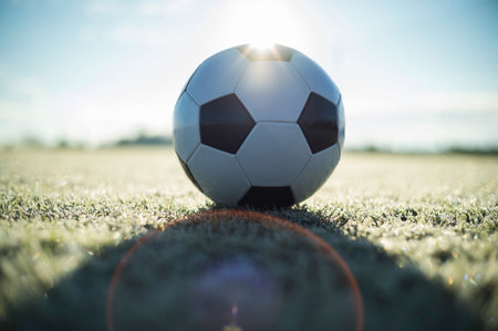 White soccer ball lying on the grass at football pitchの写真素材