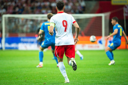 Soccer player with number 9 on his back during the match.の写真素材