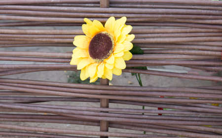 Easter spring flower background; fresh flowers on the backgroundの写真素材