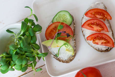 Homegrown vegetables. Fresh organic vegetables. Vegetables from the garden. Colorful vegetable. Healthy vegetable. sandwiches with vegetables. Copyspace.の写真素材