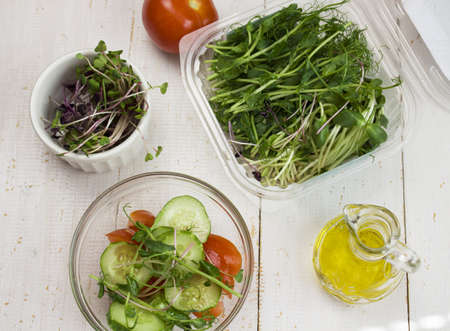 microgreen in a white vase. Sprouts of vegetables sprouted from the seeds of plants. Microgreen salad cooking concept on a white background. copyspaceの写真素材