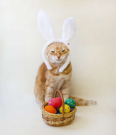 Easter eggs. Happy easter card. Multi-colored Easter eggs and rabbit. Easter eggs on a light background. Easter greetings. Happy easter. Rabbit cat. Copy spaceの写真素材