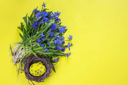 Holiday christmas background. Winter holiday composition with a New Year mood. Spruce and balls. Isolate Banner. copyspaceの写真素材