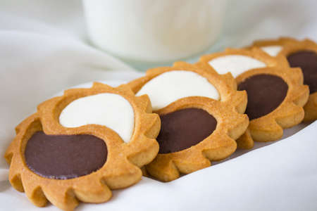 Biscuit. Texture background. Biscuits biscuit texture stack of biscuit crumpet tea biscuit pattern....