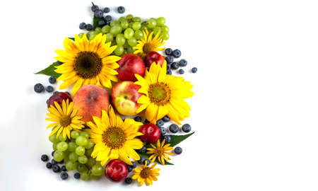Fresh fruits. Healthy food. Mixed fruit, apricots and peaches, berries. Studio photography of...