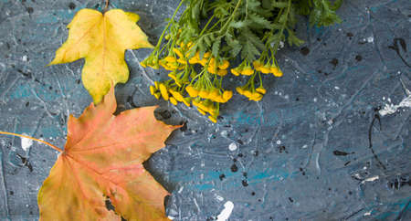 Autumn still life. Flowers with maple autumn leaves in the background. Autumn seasonal background....