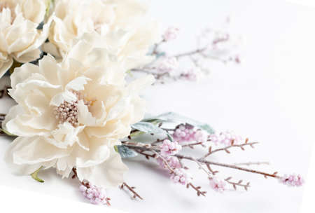 Colorful flower. Flower in the garden on a sunny summer or spring day. Flower for beauty postcard decoration and design concept of agriculture. Copyspaceの写真素材