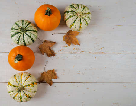 Thanksgiving background. Thanksgiving day autumn background. Thanksgiving Autumn background of pumpkins on a white wooden background. Copy spaceの写真素材