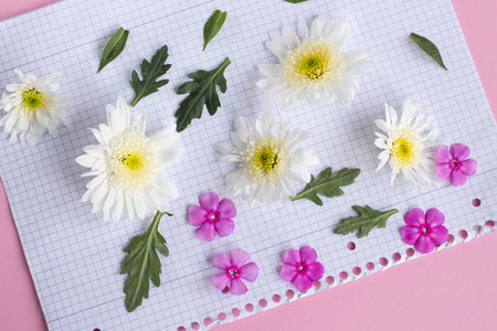 Lisianthus flower. Flower garden. flower at spring day. colorful flower. flower decoration. flower for design.の写真素材