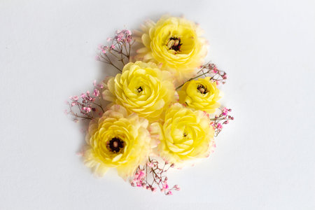 Spring background - spring composition on a white background. copyspace.