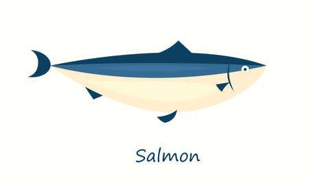 Salmon fish isolatedのイラスト素材