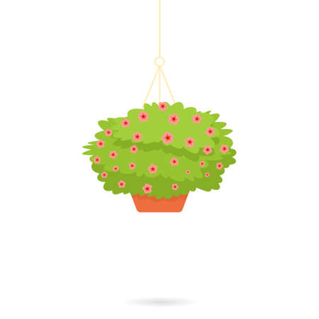 Outdoor garden potted plantのイラスト素材