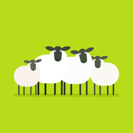 herd of sheepのイラスト素材