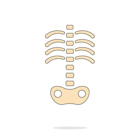 Human skeleton icon.のイラスト素材