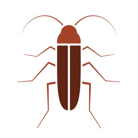 Cockroach vector. Pest control clip art isolated on white backgroundのイラスト素材