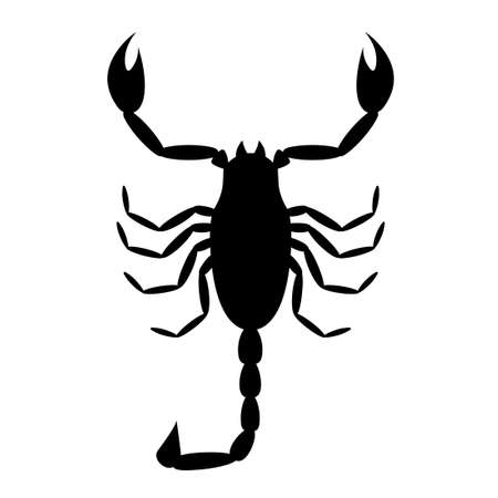Scorpion icon. Pest control clipart isolated on white backgroundのイラスト素材