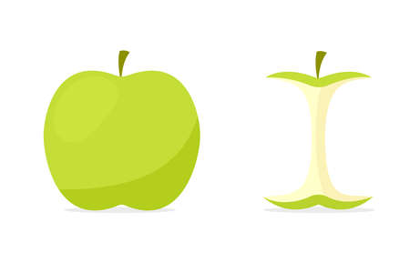 Fruit whole apple and apple stump icon. Vector image isolated on white backgroundのイラスト素材