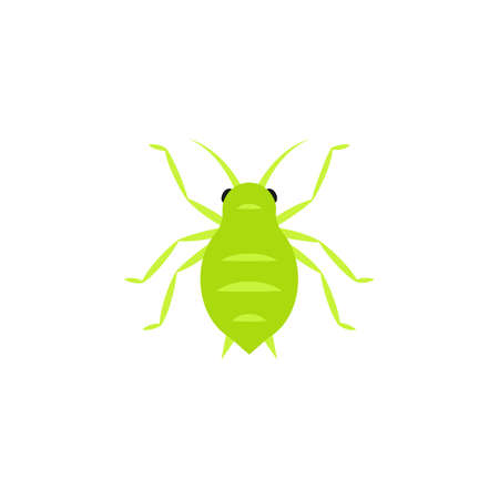 Aphid icon . Clipart image isolated on white backgroundのイラスト素材