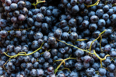 background of fresh black grapes in a box