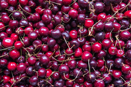 fresh cherries from ecological agriculture